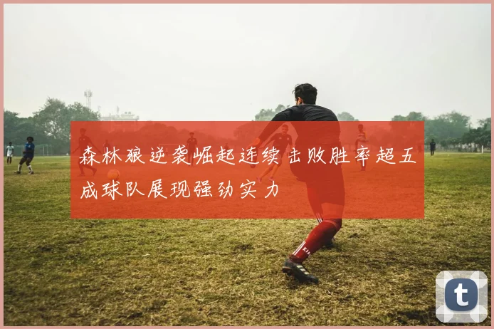 森林狼逆袭崛起连续击败胜率超五成球队展现强劲实力
