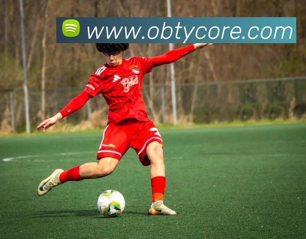 ob体育服务体系